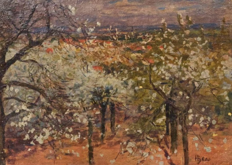 Melo in fiore